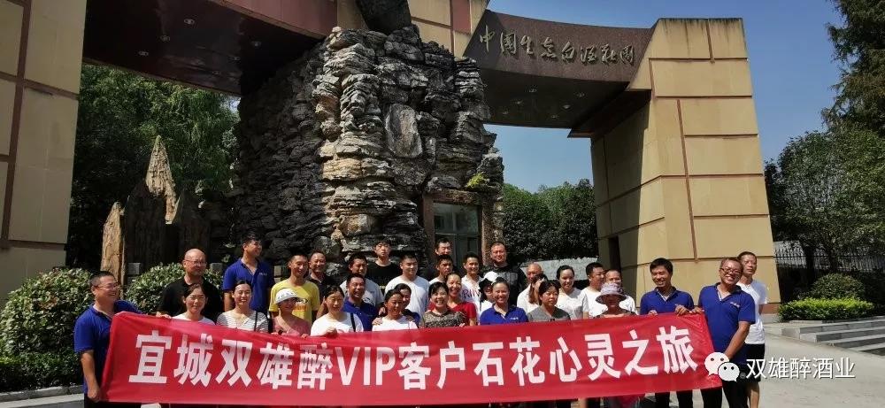 活力四射，宜城客戶的心靈之旅