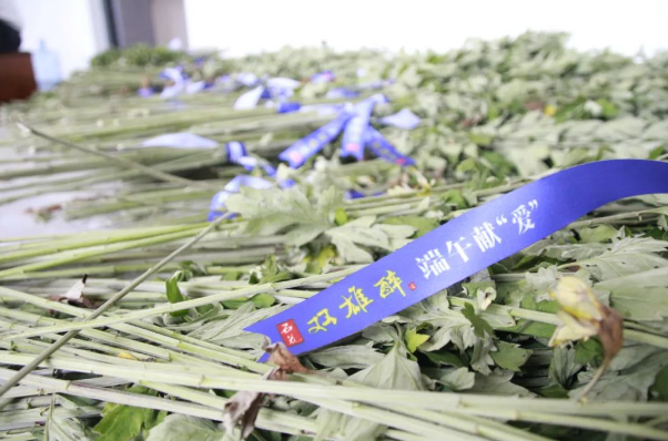 贈你一束“艾”，端午祈安康，雙雄醉端午獻“愛”